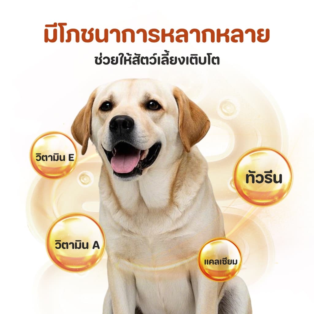 อาหารกระป๋องสุนัข อาหารเปียกหมากระป๋อง ช่วยส่งเสริมการย่อยของทางเดินอาหารเพิ่มความอยากอาหาร430g รูปที่ 7
