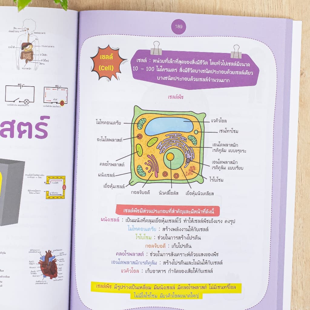 Thinkbeyond Book หนังสือ Very Easy ป.4 - 5 - 6 วิชา วิทย์ / เลข / อังกฤษ / สังคม /ภาษาไทย รูปที่ 4