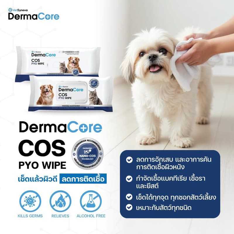 DermaCore cos pyo wipe ผ้าเปียกเกี่ยวกับโรคผิวหนัง 30 แผ่น รูปที่ 1