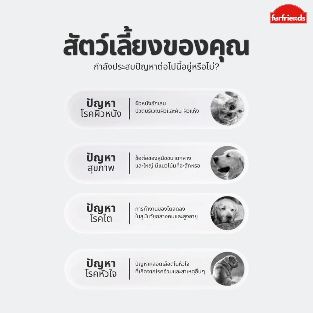furfriends แซลมอนออยล์ บำรุงขน สุขภาพดี เสริมภูมิให้สัตว์เลี้ยง น้ำมันปลาแซลมอน แท้100% เกรดพรีเมียม น้ำมันปลา fish oil รูปที่ 3