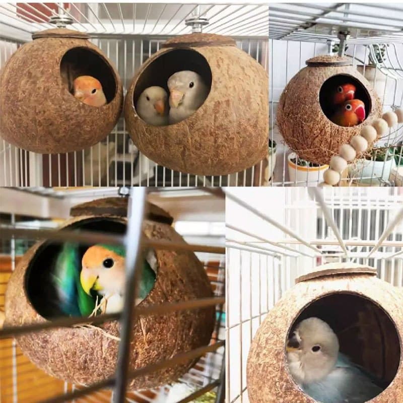 บ้านกะลา บ้านชูการ์ บ้านกระรอก บ้านนกแก้ว แบบมีบันได้ รังนก กะลามะพร้าว สำหรับเลี้ยงนก ชูก้า หนู รูปที่ 9
