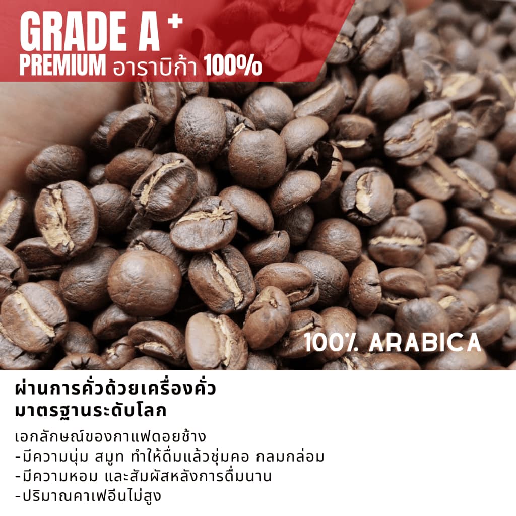 เมล็ดกาแฟดอยช้างเกรดพรีเมี่ยมA+ กาแฟอราบิก้า100 % คั่วใหม่ เมล็ดกาแฟสดคั่วบด สูตรเบลนด์อาราบิก้า คั่วกลาง+คั่วเข้ม 250g รูปที่ 6