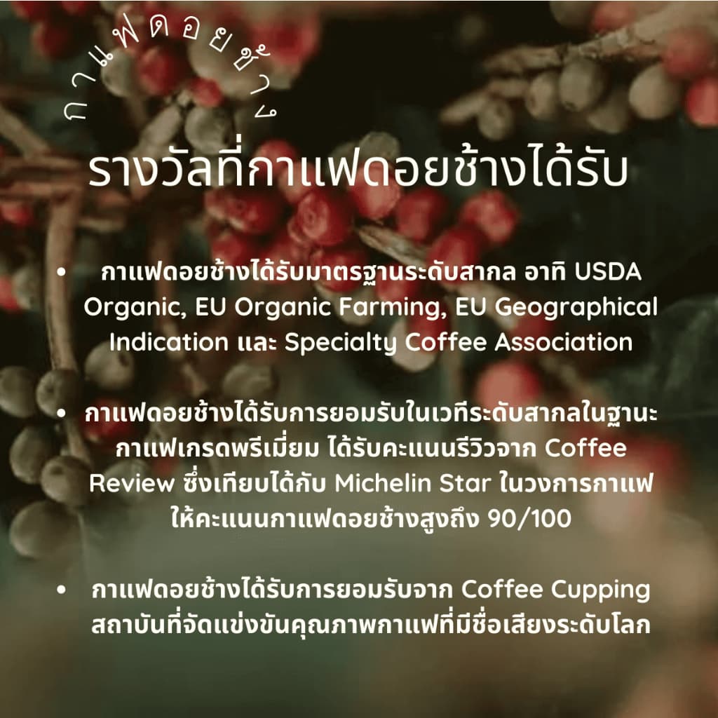 เมล็ดกาแฟดอยช้างเกรดพรีเมี่ยมA+ กาแฟอราบิก้า100 % คั่วใหม่ เมล็ดกาแฟสดคั่วบด สูตรเบลนด์อาราบิก้า คั่วกลาง+คั่วเข้ม 250g รูปที่ 8