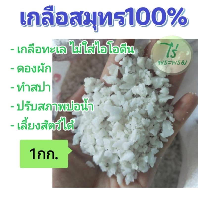 เกลือดองผัก​ เกลือทำปลาร้า​ปลาเค็ม​ เกลือเม็ดทะเลกลาง 1กก. รูปที่ 1