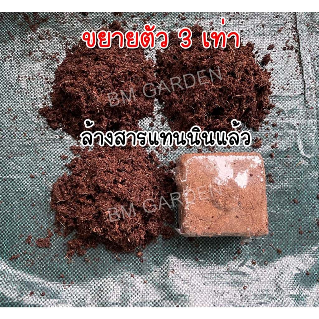 ขุยมะพร้าวอัดก้อน 200 กรัม ขยายตัว 3 เท่า ล้างสารแทนนินแล้ว pH เหมาะสม รูปที่ 2