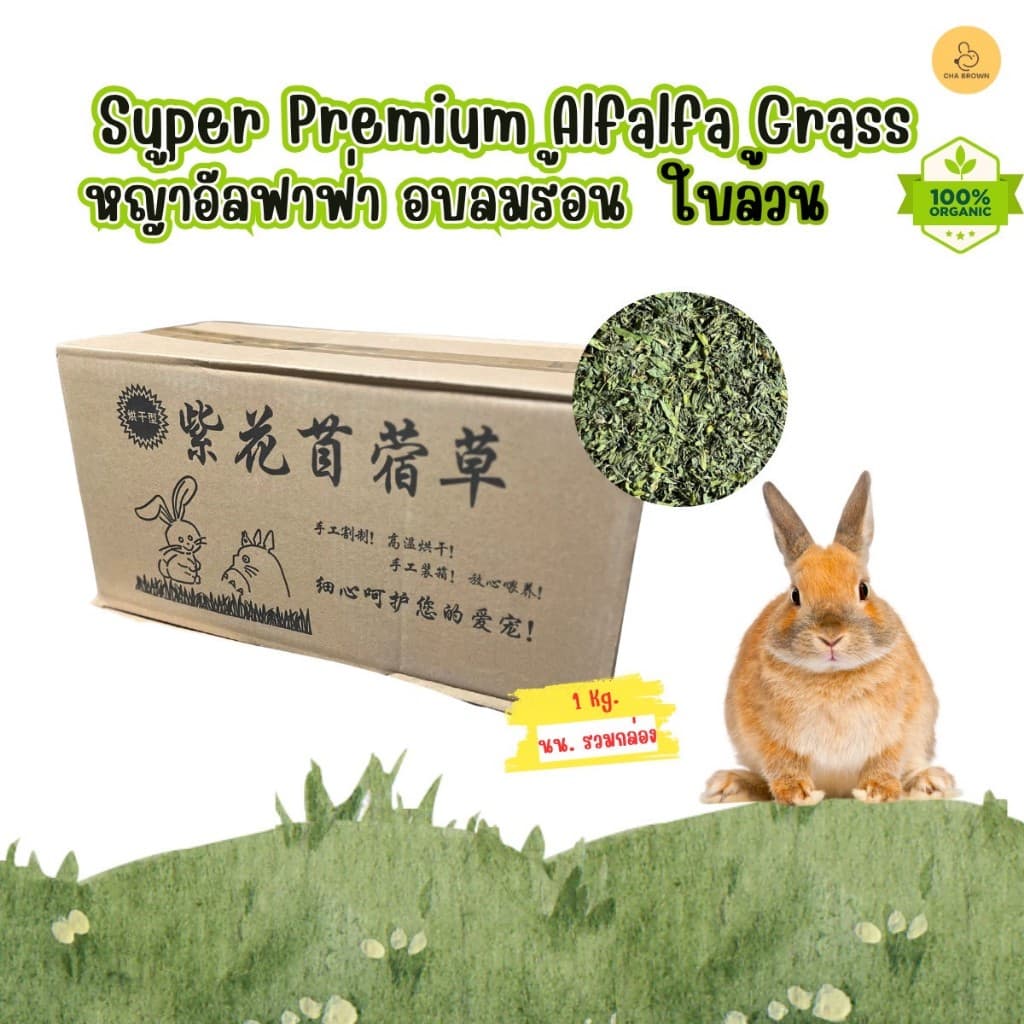 หญ้ากระต่าย หญ้าอัลฟาฟ่าอบลมร้อน Super Premium Alfalfa Grass ขนาด 1Kg. ใบล้วน รูปที่ 2