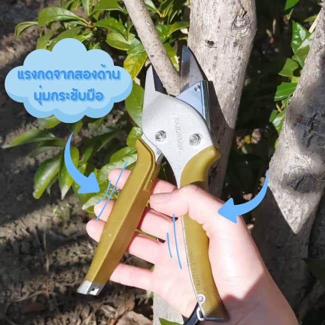 กรรไกรตัดแต่งกิ่ง Razorsaw แท้ Rakunandesu Pruning shearsน้ำหนักเบากดง่ายไม่เจ็บ รูปที่ 4