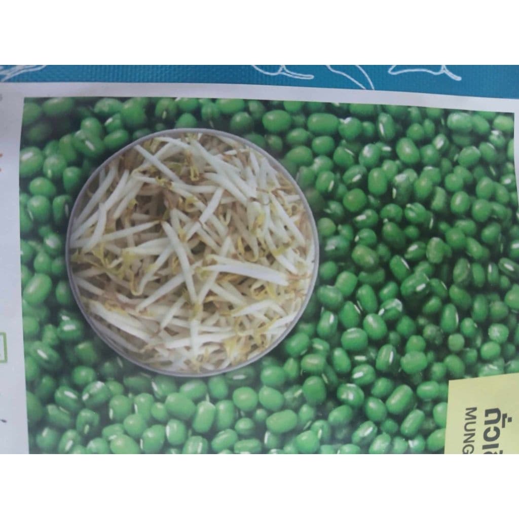 เมล็ดพันธุ์ ถั่วเขียว ถั่วงอก MUNG BEAN ตรา เจียไต๋ รูปที่ 8