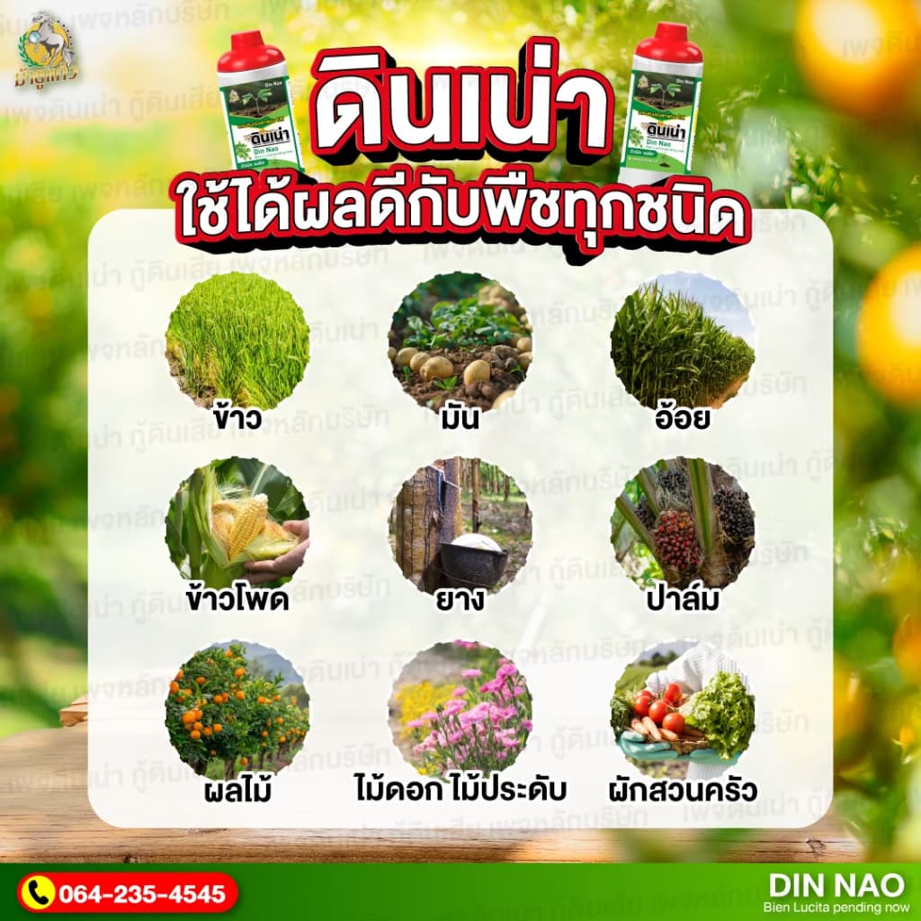 ดินเน่า บำรุงดิน ปรับดิน เติมสารอาหารให้ดิน ราก ใบ ดอก ผล ขนาด 1000 มล. รูปที่ 3