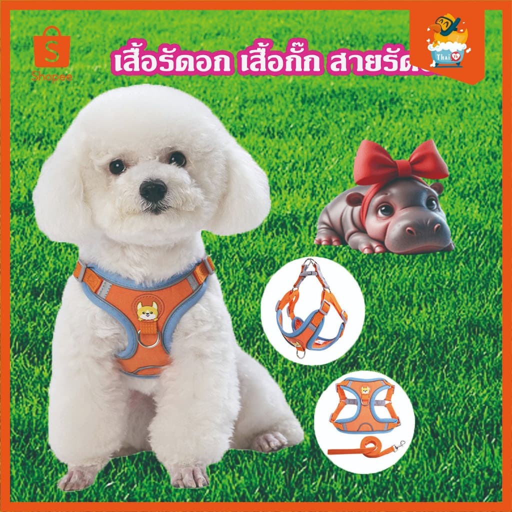 Thai.th เสื้อรัดอก เสื้อกั๊ก สายรัดอก ชุดรัดอก สุนัข หมา แมว พร้อมสายจูง แบบสวมใส่ง่าย มีหลายสี X13 รูปที่ 1