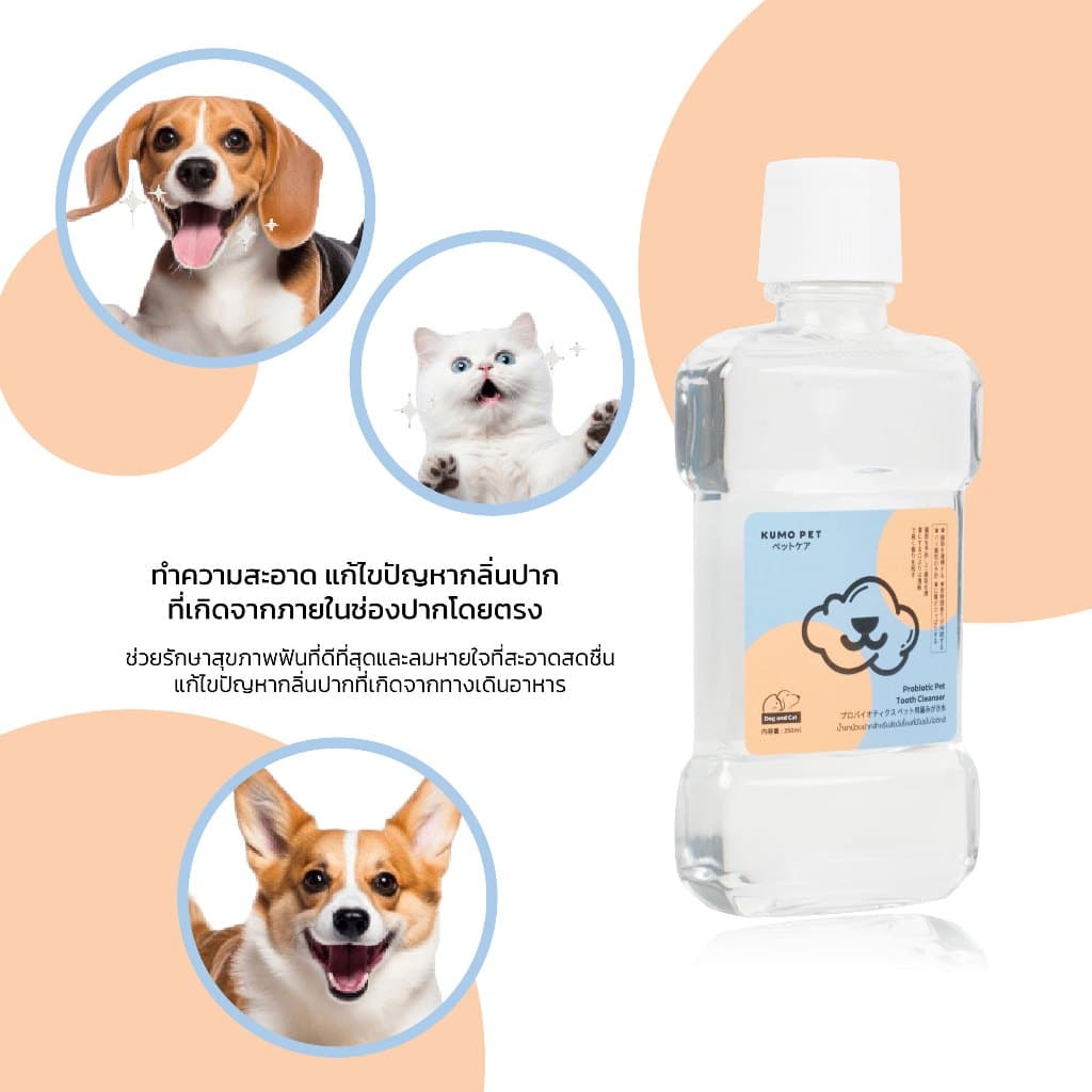 KUMOO PET น้ำยาบ้วนปาก สำหรับสัตว์เลี้ยง ลดคราบหินปูน ช่วยลดกลิ่นปาก รูปที่ 7