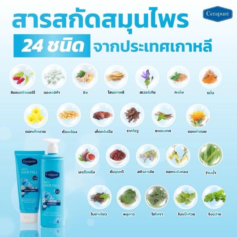 !! Cerapure Shampoo & Treatment for Losse รูปที่ 4