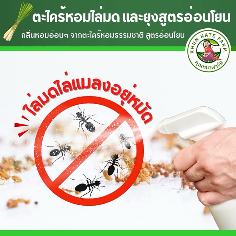 สเปรย์กันยุง น้ำตะไคร้หอมสูตรอ่อนโยน ขนาด 1000 ml ตะไคร้หอม อ่อนโยน ปลอดภัย แถมสเปรย์ฟรี! รูปที่ 3