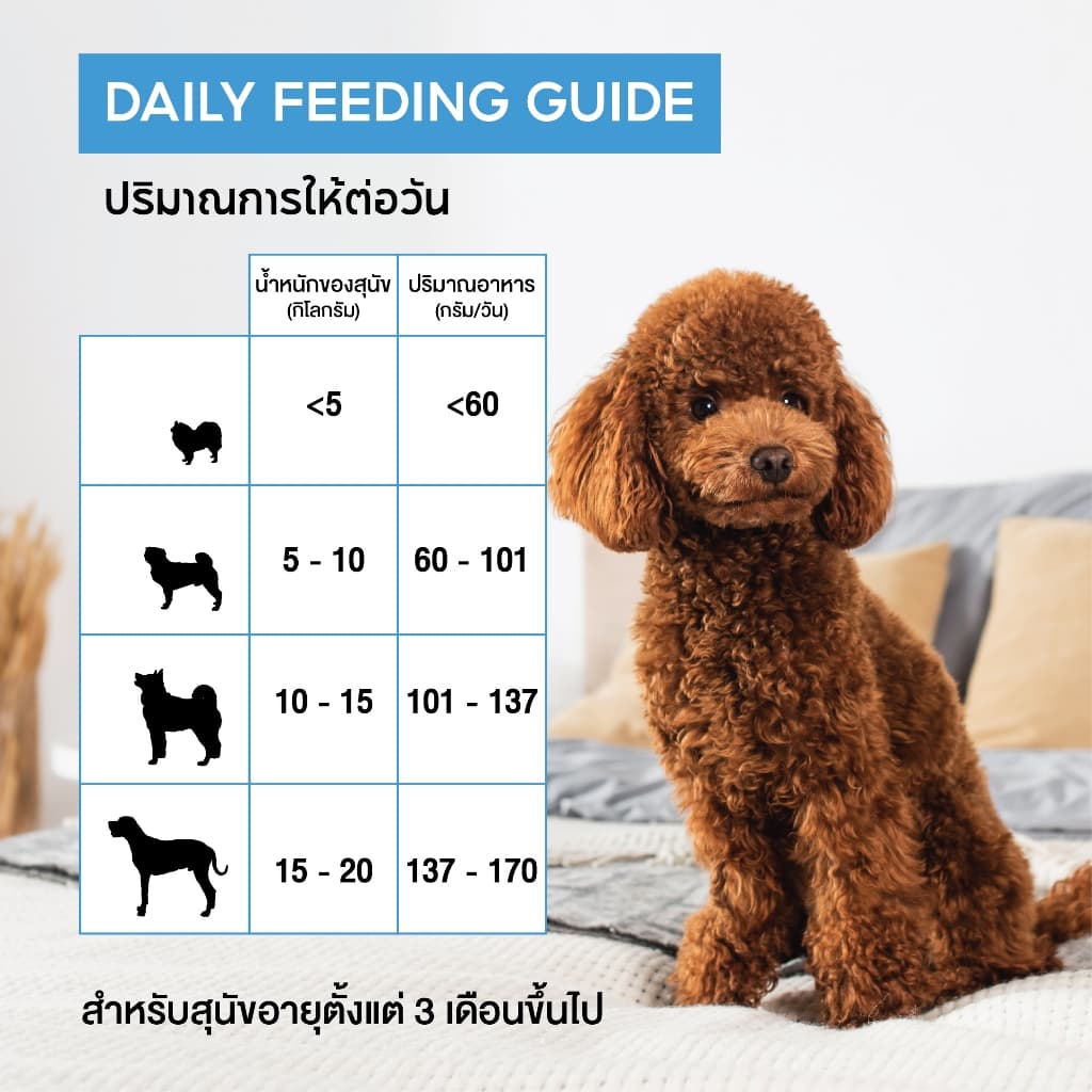เคลลี่แอนด์โค ดินเนอร์บูสเตอร์ บาลานซ์ ผงโรยเสริมวิตามินและเกลือแร่ 22 ชนิด สำหรับสุนัข 50 กรัม รูปที่ 4