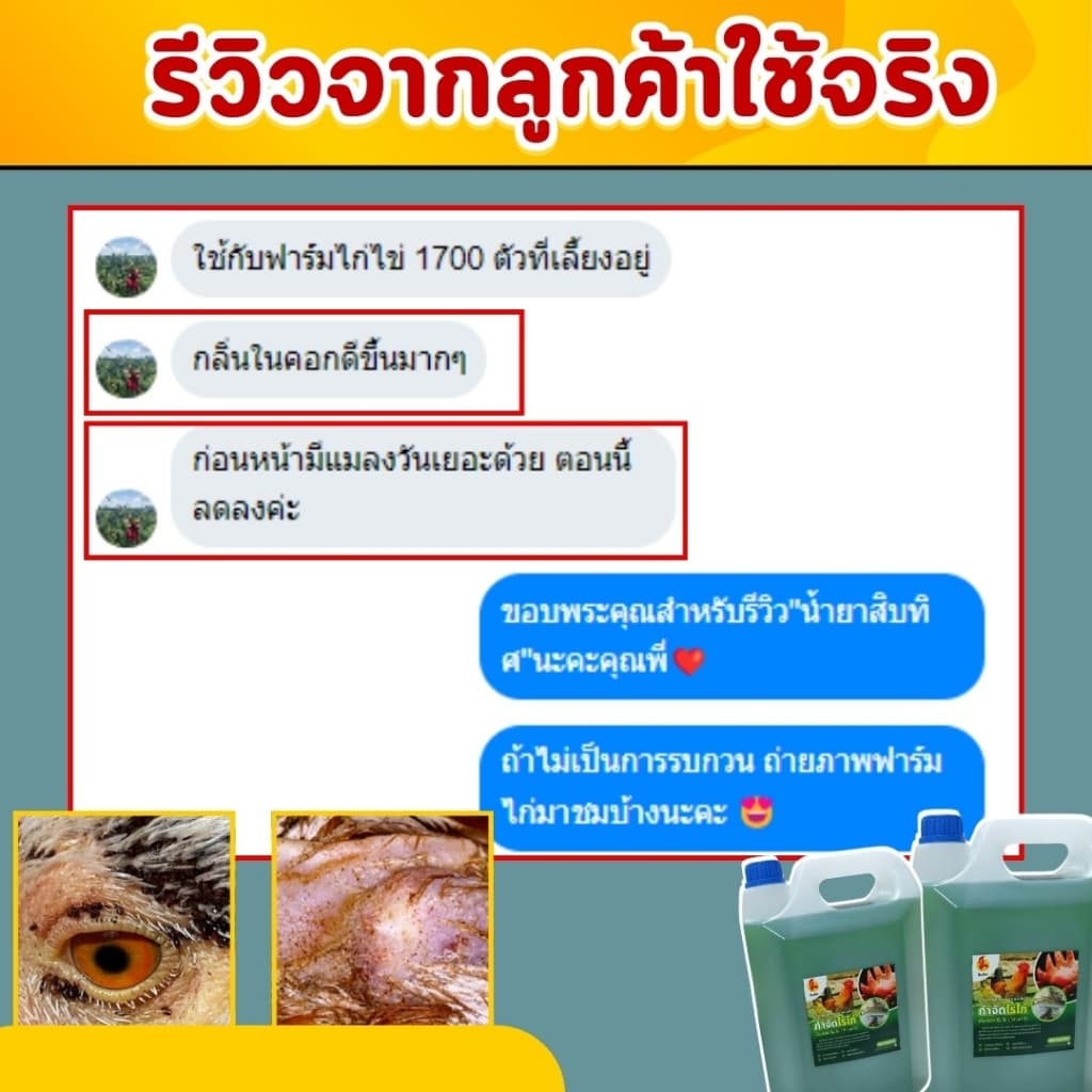 น้ำยากำจัดไรไก่ เห็บ หมัด ลดอาการคัด ป้องกันขนร่วง ไล่ยุง ไล่แมลง กำจัดเห็บหมัด ออแกนิค ปลอดภัยต่อสัตว์เลี้ยงและผู้ใช้ รูปที่ 6