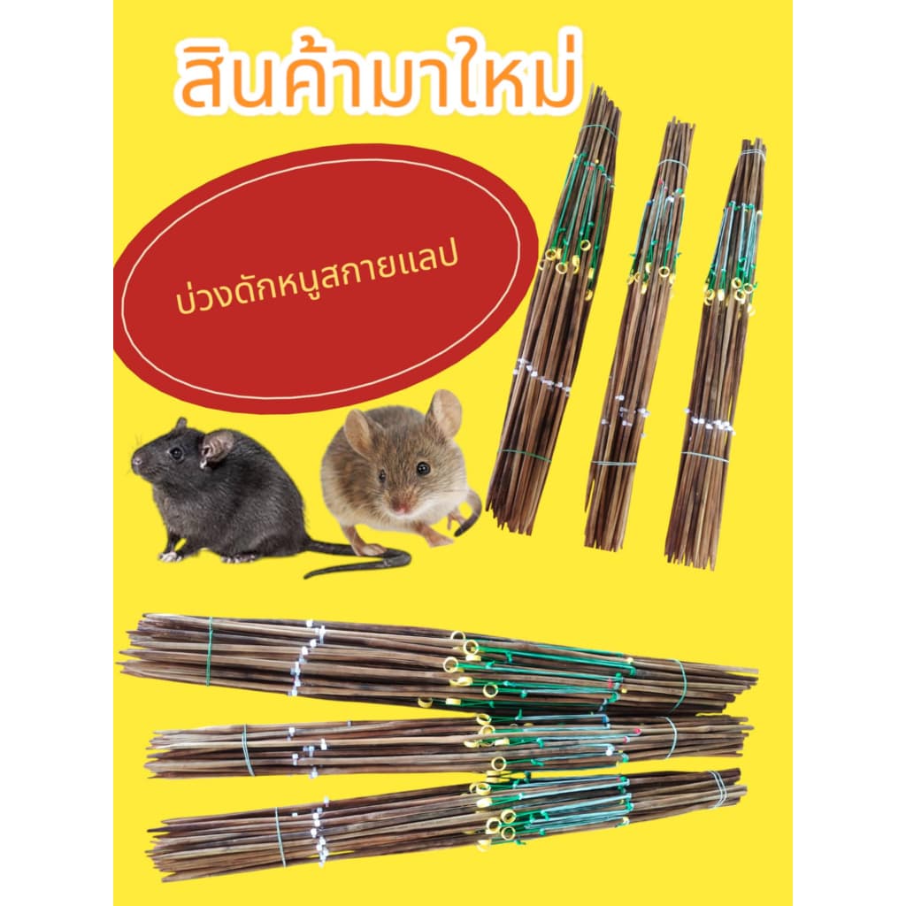 บ่วงดักหนู บ่วงดีด บ่วงดักหนูสกายเเลบ คันดักหนู บ่วงซิ่ง ลวดเบอร์ 12 #ขึ้นฟีด รูปที่ 1