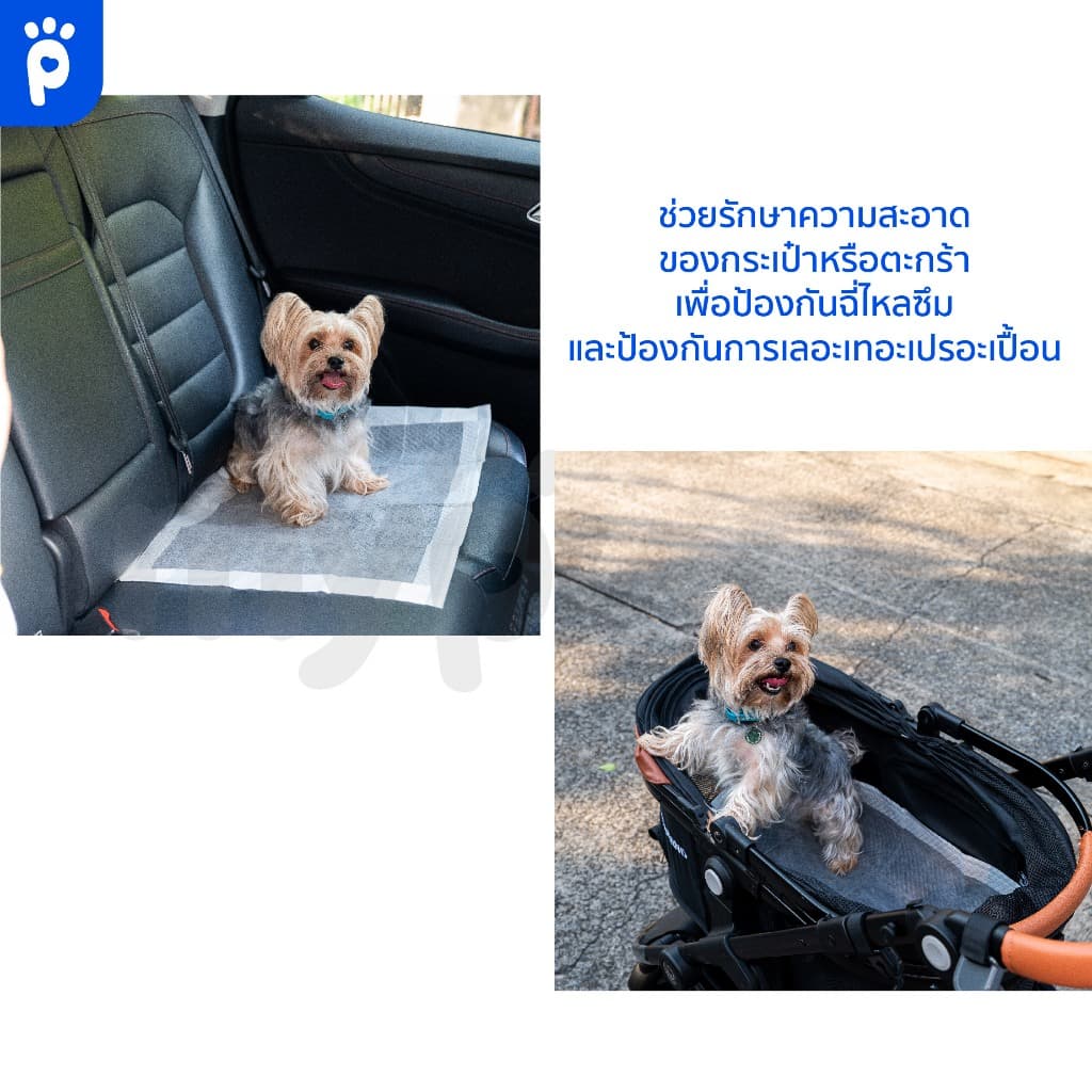 My Paws แผ่นรองฉี่ แผ่นรองฉี่สุนัข ฝึกขับถ่าย ซึมซับดี ดับกลิ่นเหม็นอย่างมีประสิทธิภาพ รุ่นStandard,Charcoal รูปที่ 7