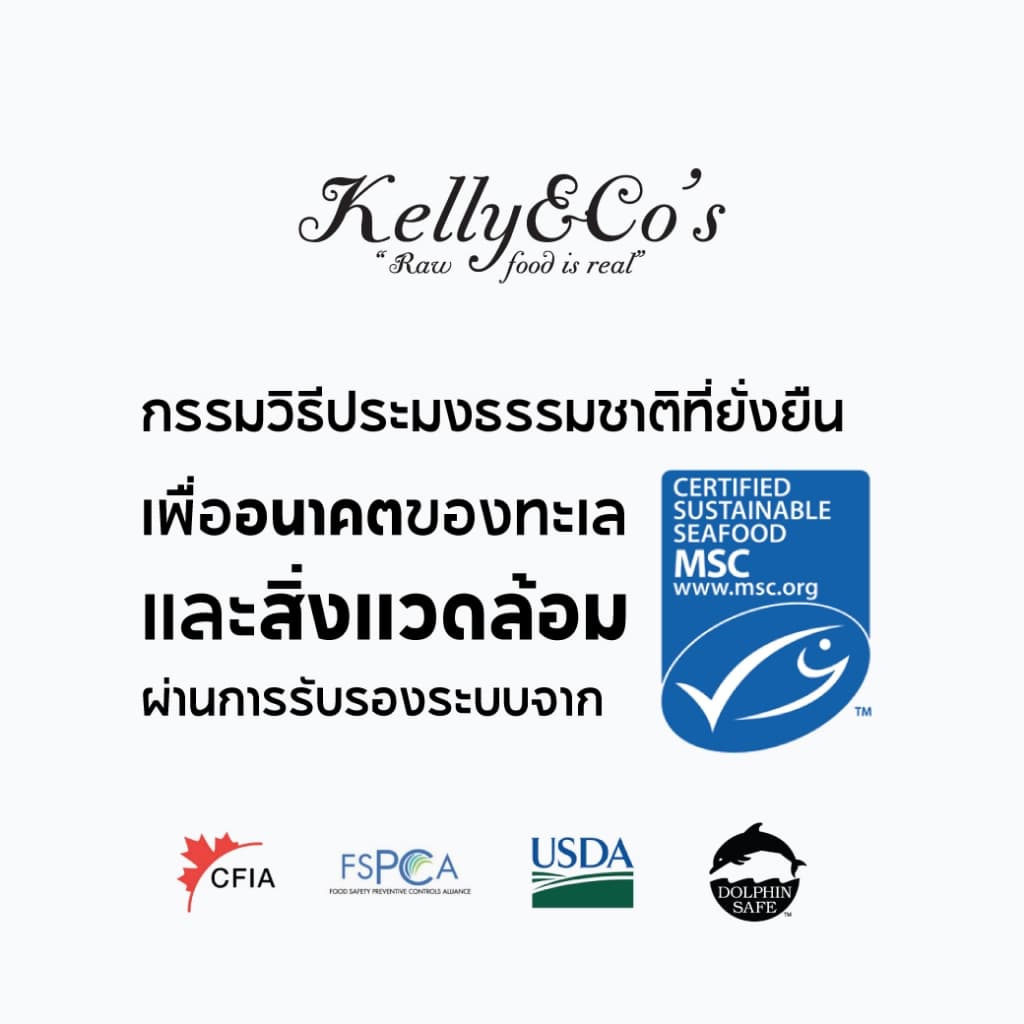เคลลี่แอนด์โค ซิงเกิ้ลทรีทส์ ไวด์คอตโอเชี่ยนมิกซ์ สำหรับแมว รูปที่ 5