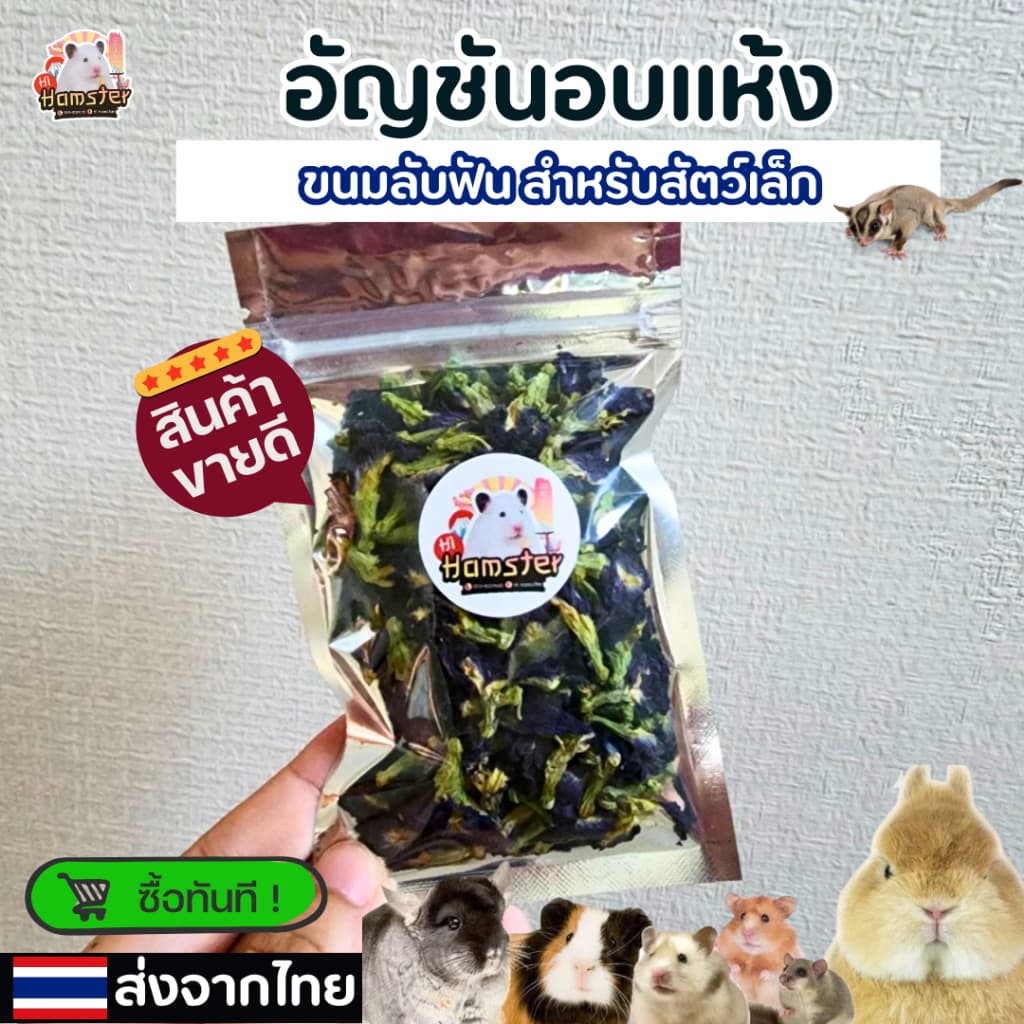 ดอกอัญชันเเห้ง Butterfly Pea ดอกไม้แต่งกรง สามารถทานได้ สำหรับสัตว์ฟันแทะ ขนาด 10g. รูปที่ 1