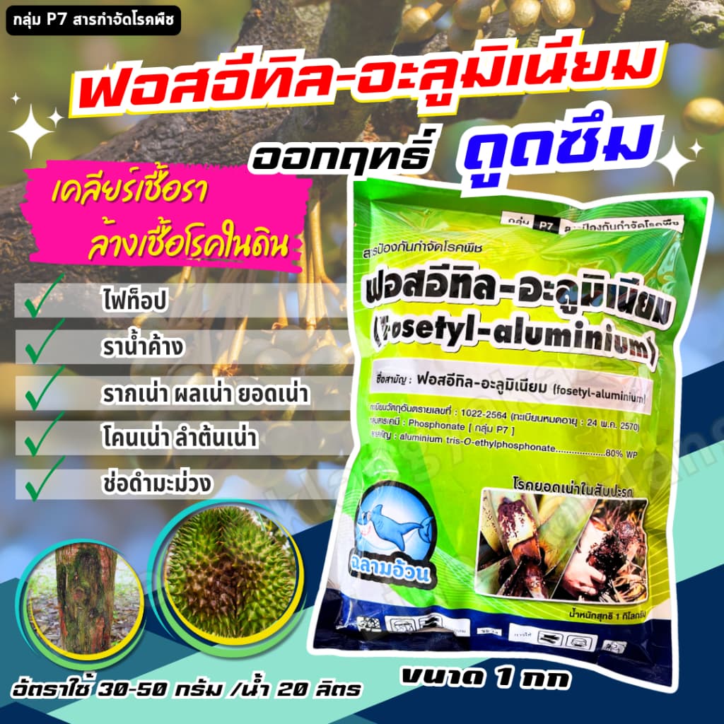 ฟอสอีทิล ฉลาม อะลูมิเนียม 80 ฉลาม 1 กก กำจัด โรคพืช ราน้ำค้าง ตากบตาเสือ โรคเน่า เน่าผล ต้นเน้า รากเน่า โรคเหี่ยวเขียว รูปที่ 1