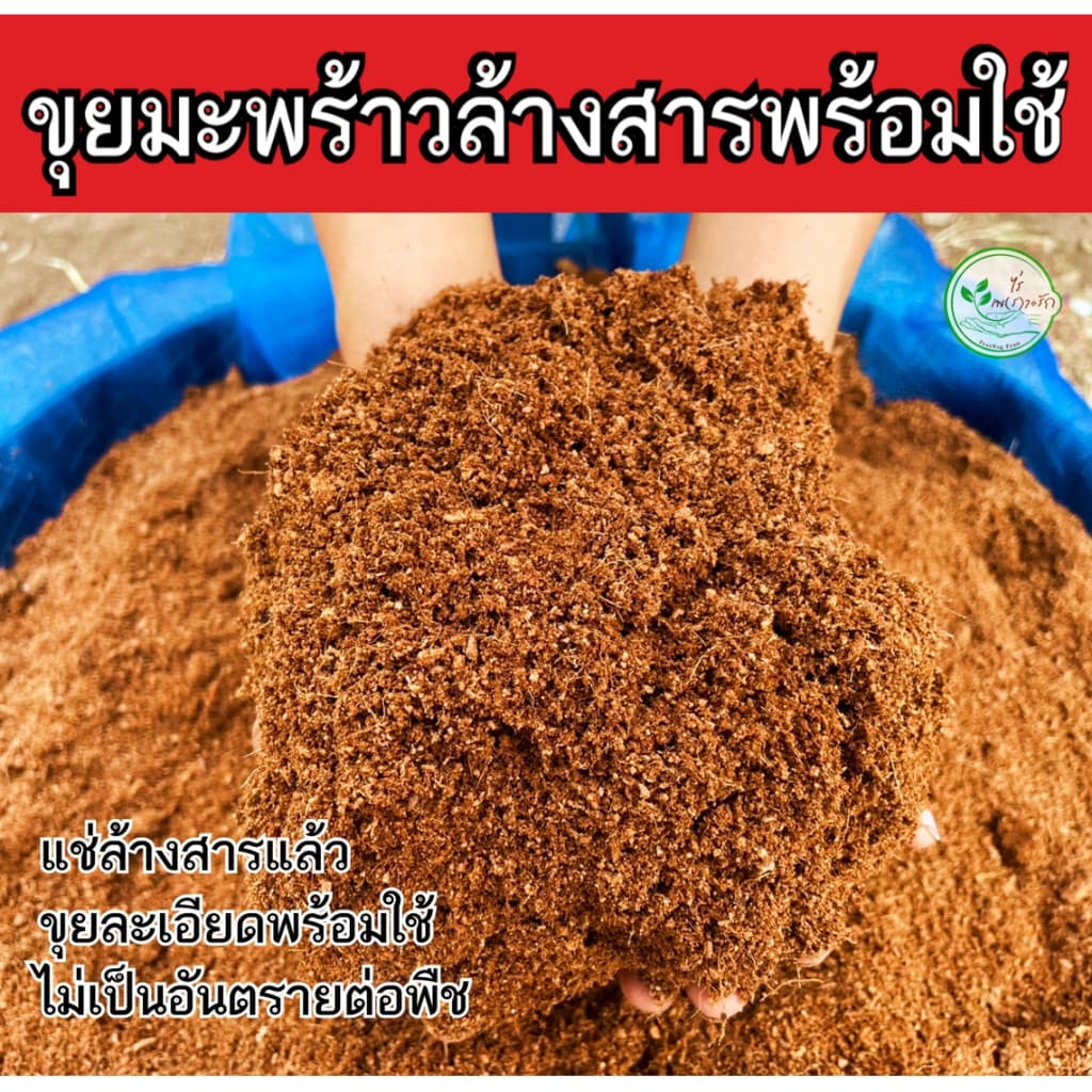 ขุยมะพร้าว ล้างสารเทนนินผสมเชื้อไตรโครเดอร์ม่า ร่อนละเอียด กรสอบ 20 กิโลกรัม ขุยมะพร้าวละเอียด ใช้ผสมดินปลูก เพาะกล้ รูปที่ 2