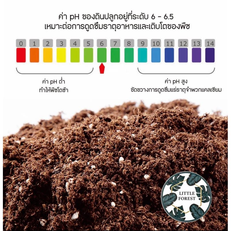 ดินสูตรพรีเมี่ยม Little forest 1กระสอบ 32 ลิตร ดินกุหลาบ ดินปลูกกุหลาบปลูกพืชผักสวนครัว รูปที่ 5