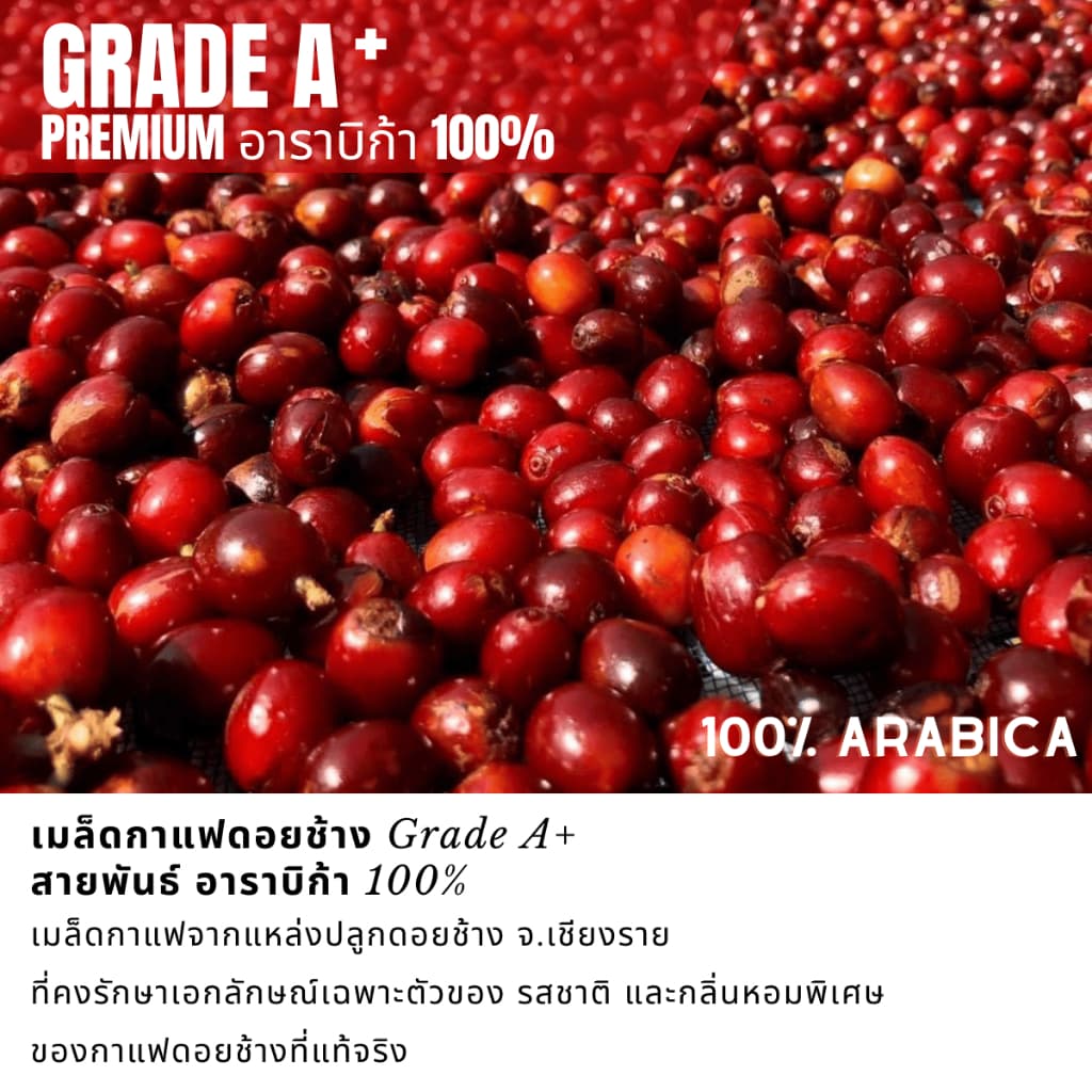 เมล็ดกาแฟดอยช้างเกรดพรีเมี่ยมA+ กาแฟอราบิก้า100 % คั่วใหม่ เมล็ดกาแฟสดคั่วบด สูตรเบลนด์อาราบิก้า คั่วกลาง+คั่วเข้ม 250g รูปที่ 2
