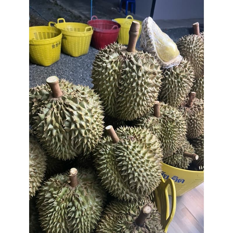 ยอดสั่งซื้อเยอะสุด! ทุเรียนหมอนแท้ ออแกรนิค 100% มีให้เลือกจะเลือกสวยๆให้น้ำหนักเลือกได้ เก็บเงินปลายทาง รูปที่ 8