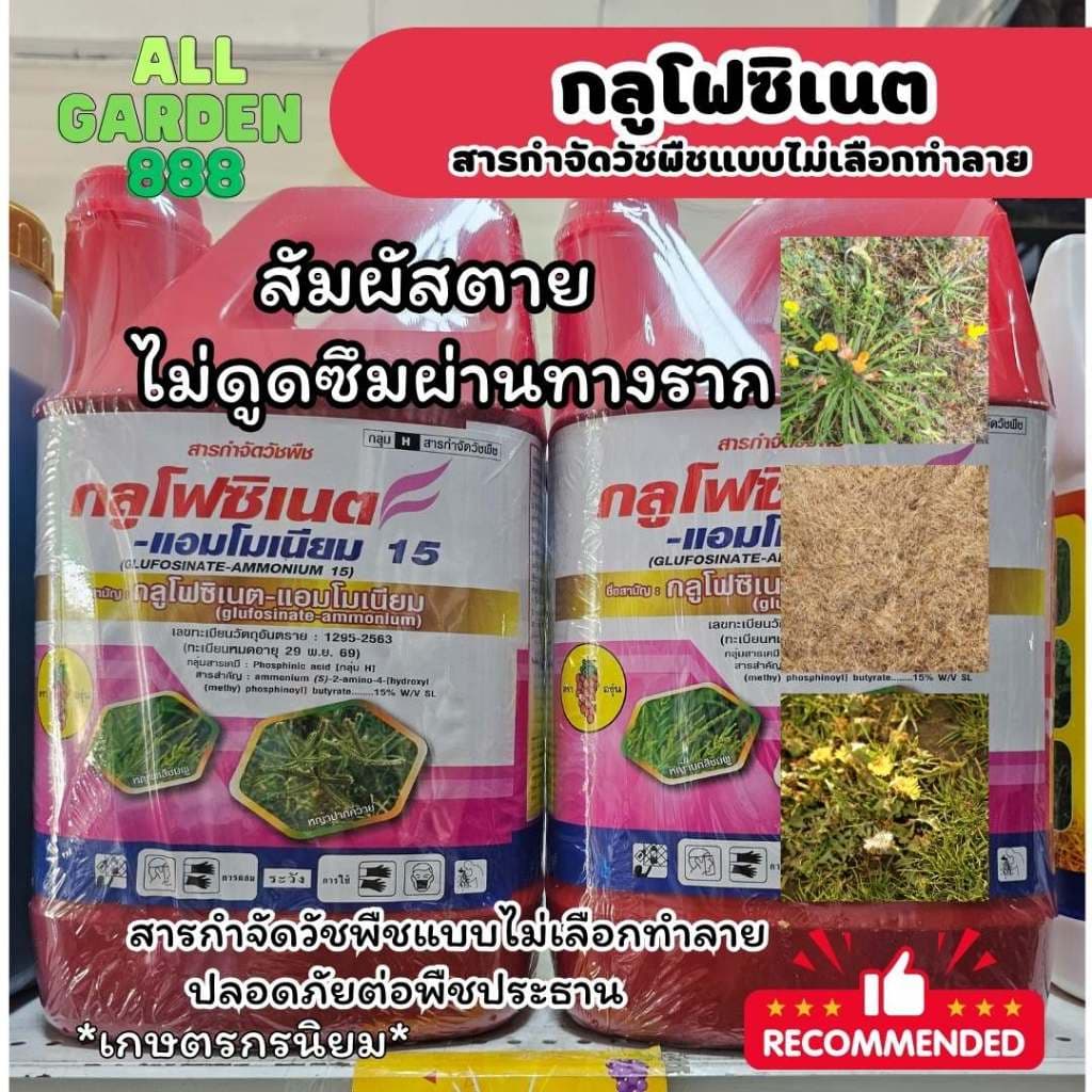 กลูโฟซิเนต-แอมโมเนียม ยาฆ่าหญ้า 4L สารกำจัดวัชพืช หญ้าใบแคบ หญ้าใบกว้าง หญ้ากก หญ้าแห้วหมู 4L รูปที่ 3