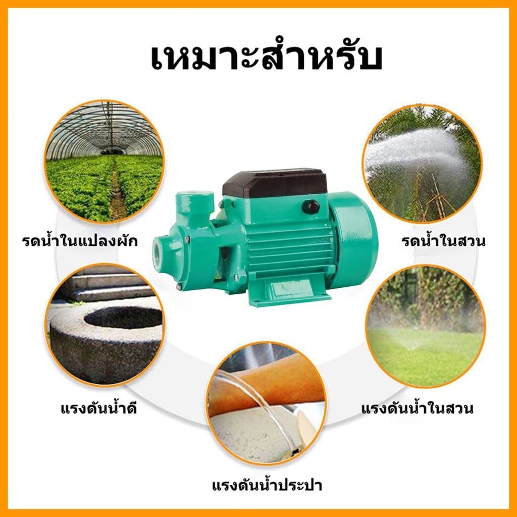 ปั้มหอยโข่งบัลเลส ปั๊มหอยโข่ง ชุดปั๊มน้ำ โซล่าเซลส์ โซล่าเซลล์ รุ่น QB-60 12V24V DC Solar Water Pump เหมาะสำหรับรดน้ำต้น รูปที่ 6