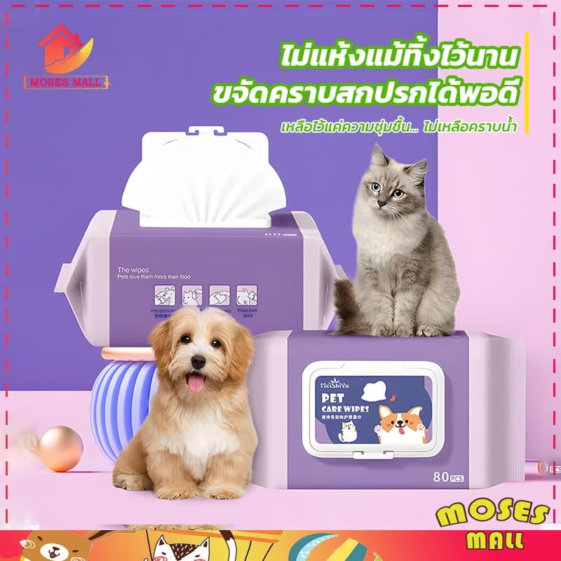 ทิชชู่เปียก ทิชชู่เปียกหมา สัตว์เลี้ยง สำหรับน้องหมาน้องแมว สำหรับเช็ดสัตว์เลี้ยง ทิชชู่เปียกเช็ดทำความสะอาด จำนวน80แผ่น รูปที่ 2