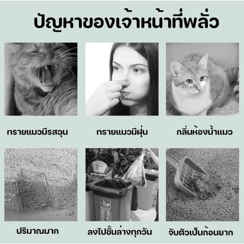 ทรายแมว6ลิตร ทรายเต้าหู้ ทรายเบนโทไนท์ ทรายแมวผสม ผลิตจากกากถั่วเหลืองธรรมชาติ ทรายแมว รูปที่ 2