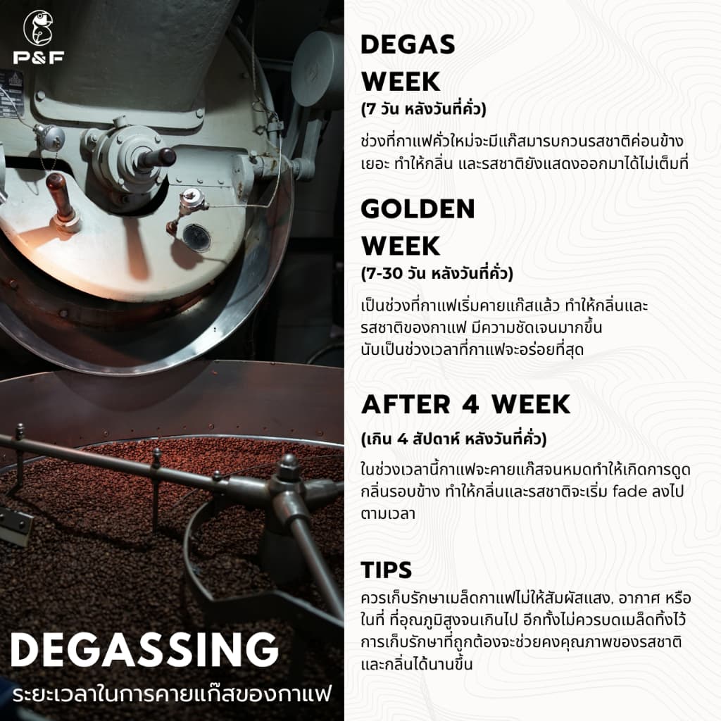 P&F 100% Organic ขนาด 250g เมล็ดกาแฟคั่ว arabica 100% | P&F Coffee พีแอนด์เอฟ คอฟฟี่ รูปที่ 7