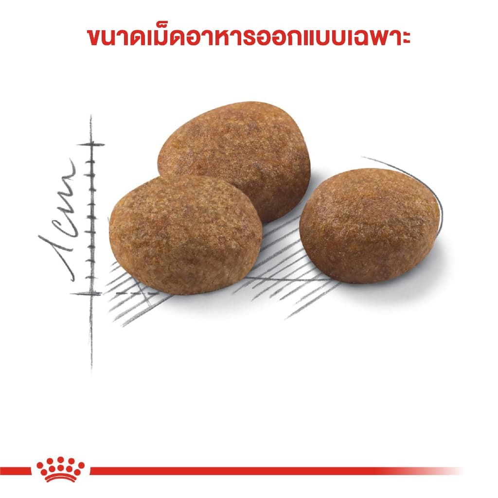 Royal canin Sterilised 7+ อาหารแมวสูงวัยหลังทำหมันขนาด 3.5 kg รูปที่ 4