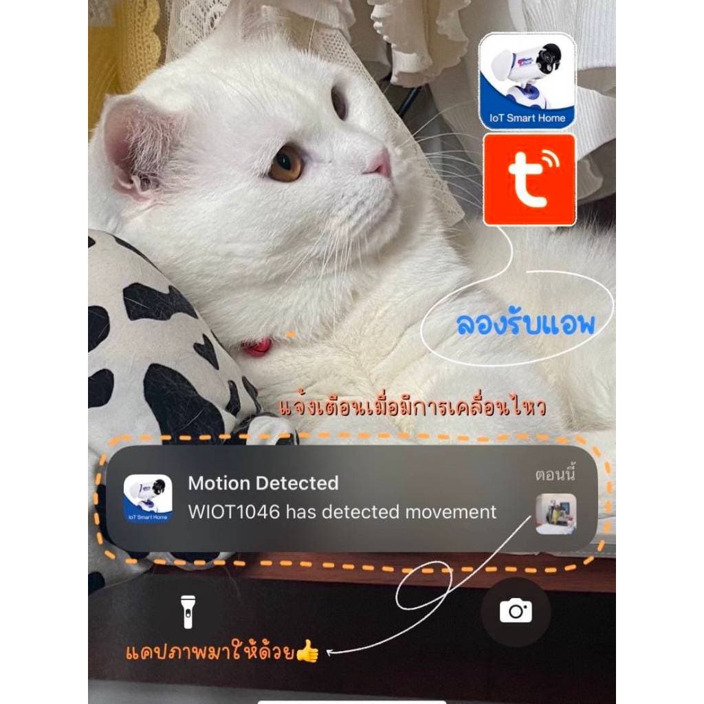 WATASHI กล้อง Wi-Fi PTZ รุ่น WIOT1049F-S3 บันทึกภาพ 3 MP ภาพสี 24 ชม. AI ตรวจจับร่างกาย,เสียงไซเรน,ติดตั้งภายนอก IP65 รูปที่ 8