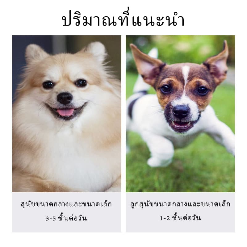 PET LIFE ขนมขัดฟัน รูปร่างกระดูกแปรงสีฟัน สุนัขทันตกรรมเคี้ยวกระดูกสัตว์เลี้ยงบดฟันตาข่ายกระดูกสำหรับสุขอนามัยในช่องปาก รูปที่ 5