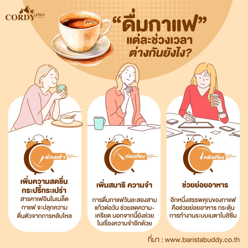 6 กล่อง สูตรใหม่ Cordy Plus Coffee คอร์ดี้พลัส กาแฟ ผสมสมุนไพร และ วิตามินรวม 24 ชนิด รูปที่ 4