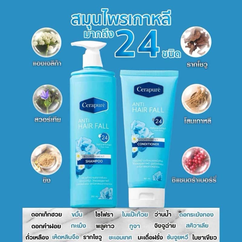 !! Cerapure Shampoo & Treatment for Losse รูปที่ 6