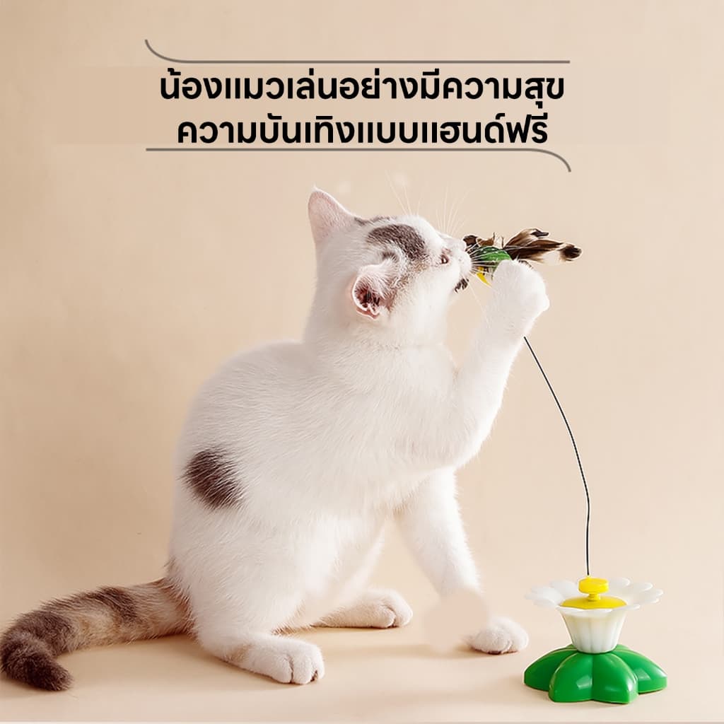 yoyopet : ของเล่นแมว หมุนอัตโนมัติอัจฉริยะ นกบิน ผีเสื้อบินอัตโนมัติ ของเล่นออโต้ หมุน360° รูปที่ 4