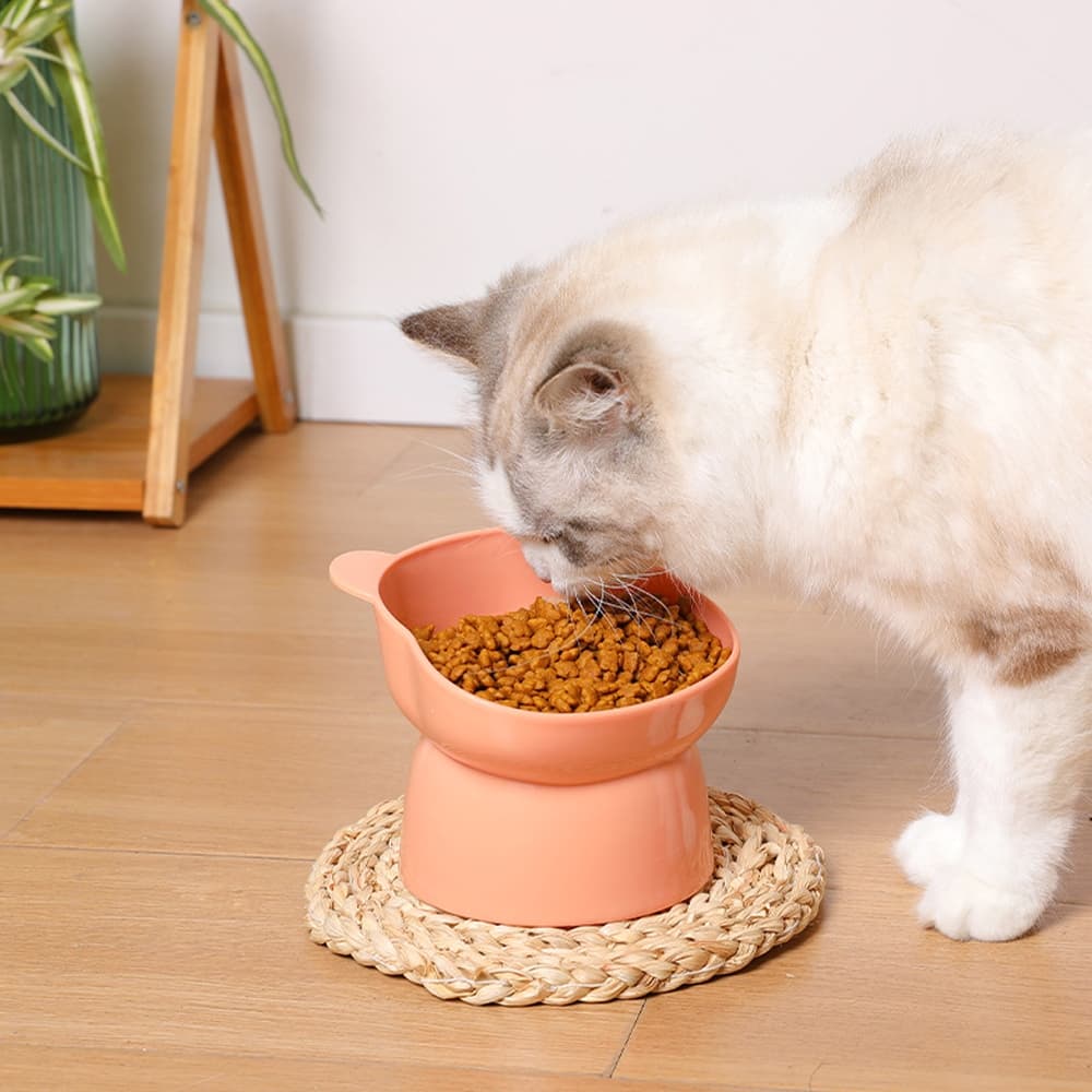 Petcho ชามอาหารสัตว์ ทรงเอียง ชามอาหารหมา ที่ใส่อาหารสัตว์เลี้ยง ชามสัตว์เลี้ยง อุปกรณ์ให้อาหารสัตว์ เอียง 15 องศา รูปที่ 3