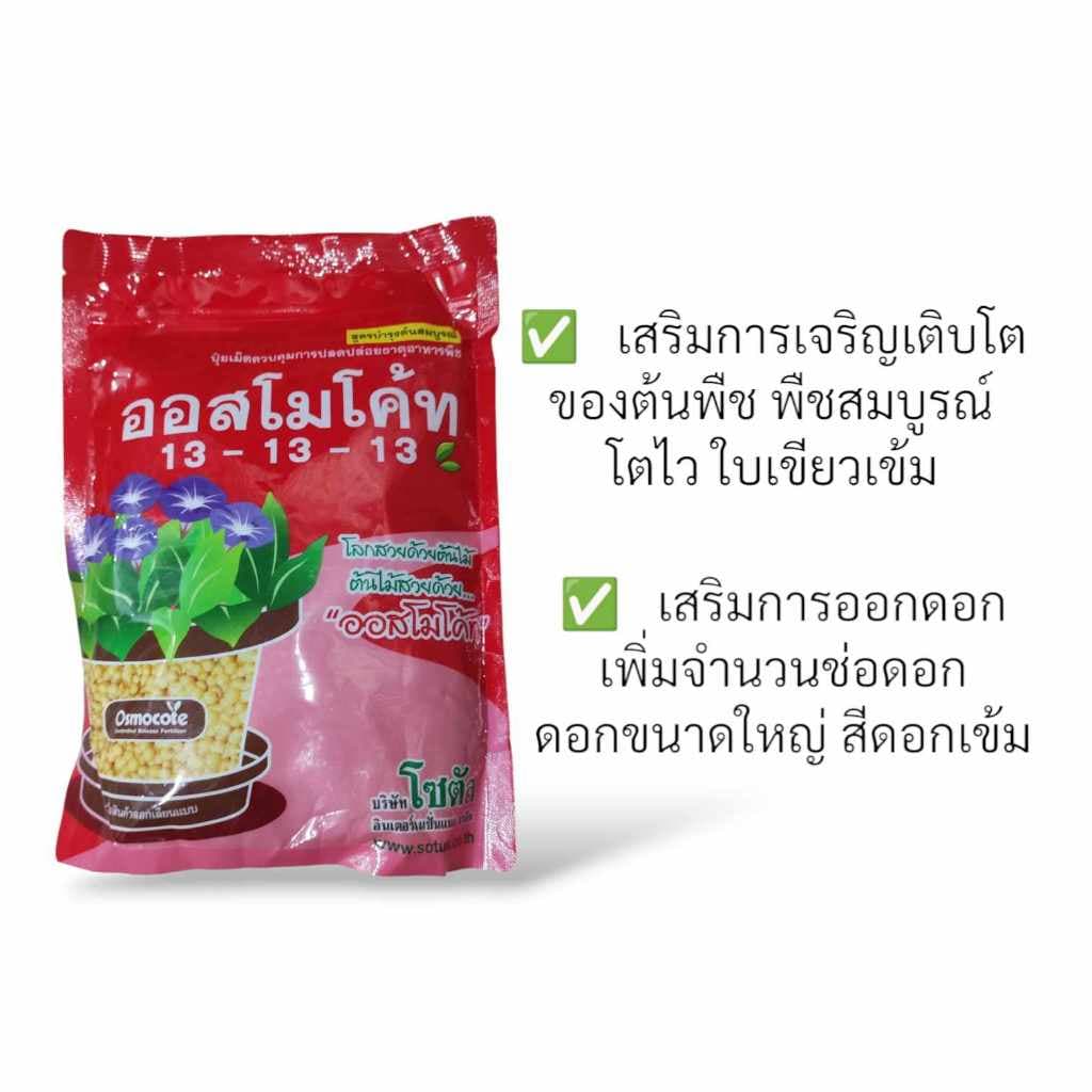 ออสโมโค้ท 1 กก. 13-13-13 บำรุงต้นดอกผล ออสโมโค้ท-พลัส 12-25-6 ปุ๋ยเร่งดอก ปุ๋ยแคคตัส ปุ๋ยละลายช้า รูปที่ 3