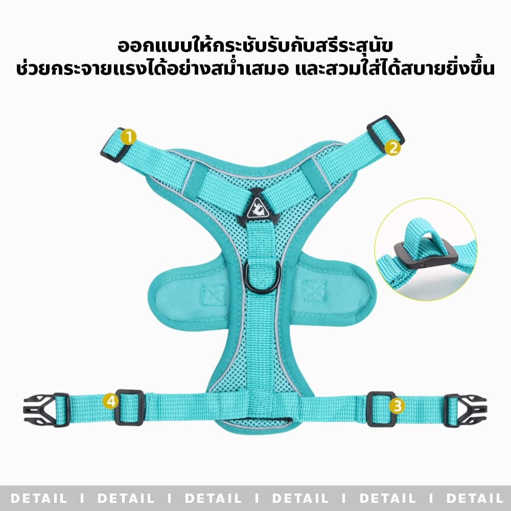 F2c สายรัดอกสุนัข สายจูงแมวสัตว์เลี้ยง ใหม่ สายจูงแมวเดินกลางแจ้ง ทนทาน รูปที่ 4