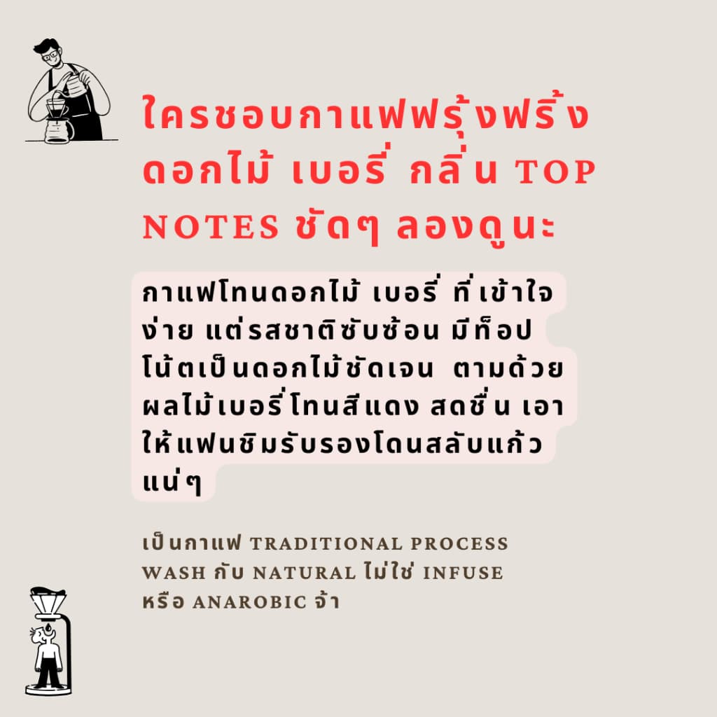 mister bean roasters เมล็ดกาแฟคั่วอ่อนโทนดอกไม้ เบอรี่ ดอกไม้ชัด ไม่เลี่ยน ลื่นคอ Blooming Flower Blend Light Roast รูปที่ 5