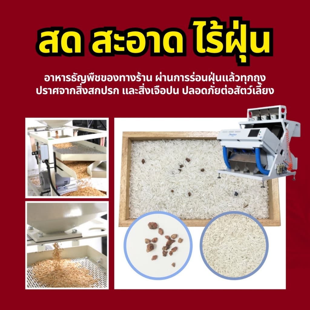 Strawberry Mix อาหารนกแก้ว ผสมสตอเบอรี่ฟรีซดราย สูตรพรีเมี่ยม สำหรับนกขนาดเล็ก - กลาง รูปที่ 4