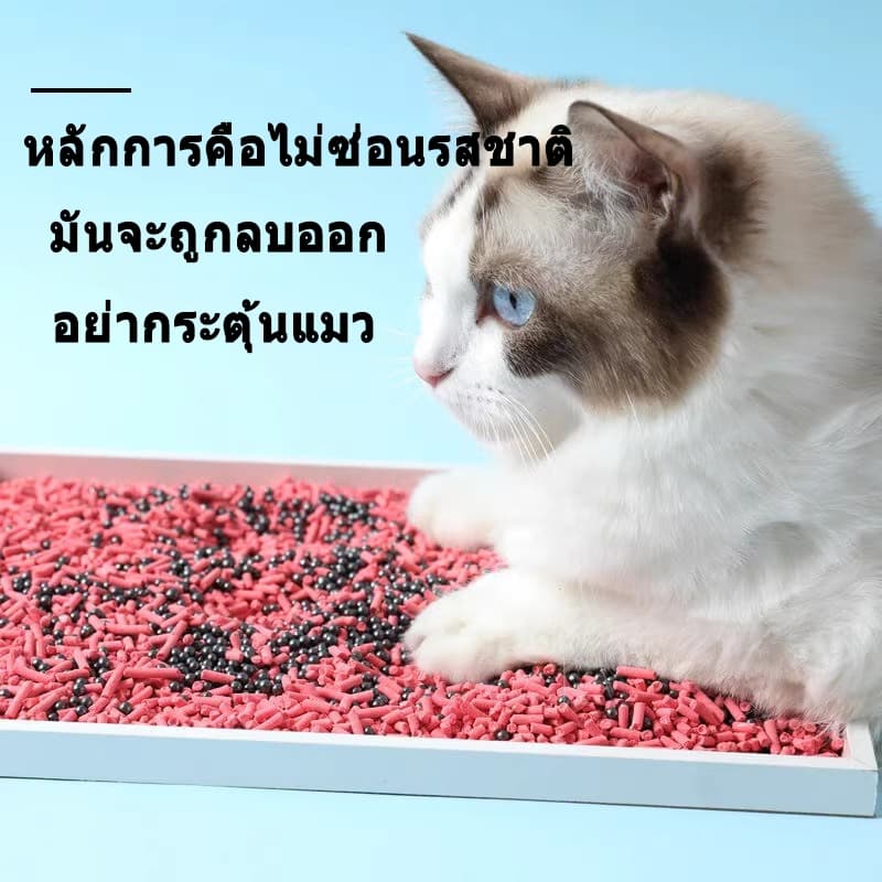 เม็ดดับกลิ่นทรายแมว เม็ดดับกลิ่น ที่ดับกลิ่นอึแมว300g ที่ดับกลิ่นฉี่แมว ที่ระงับกลิ่น เพียงโรยใส่กะบะทรายแมวกลิ่นจะค่อ รูปที่ 4