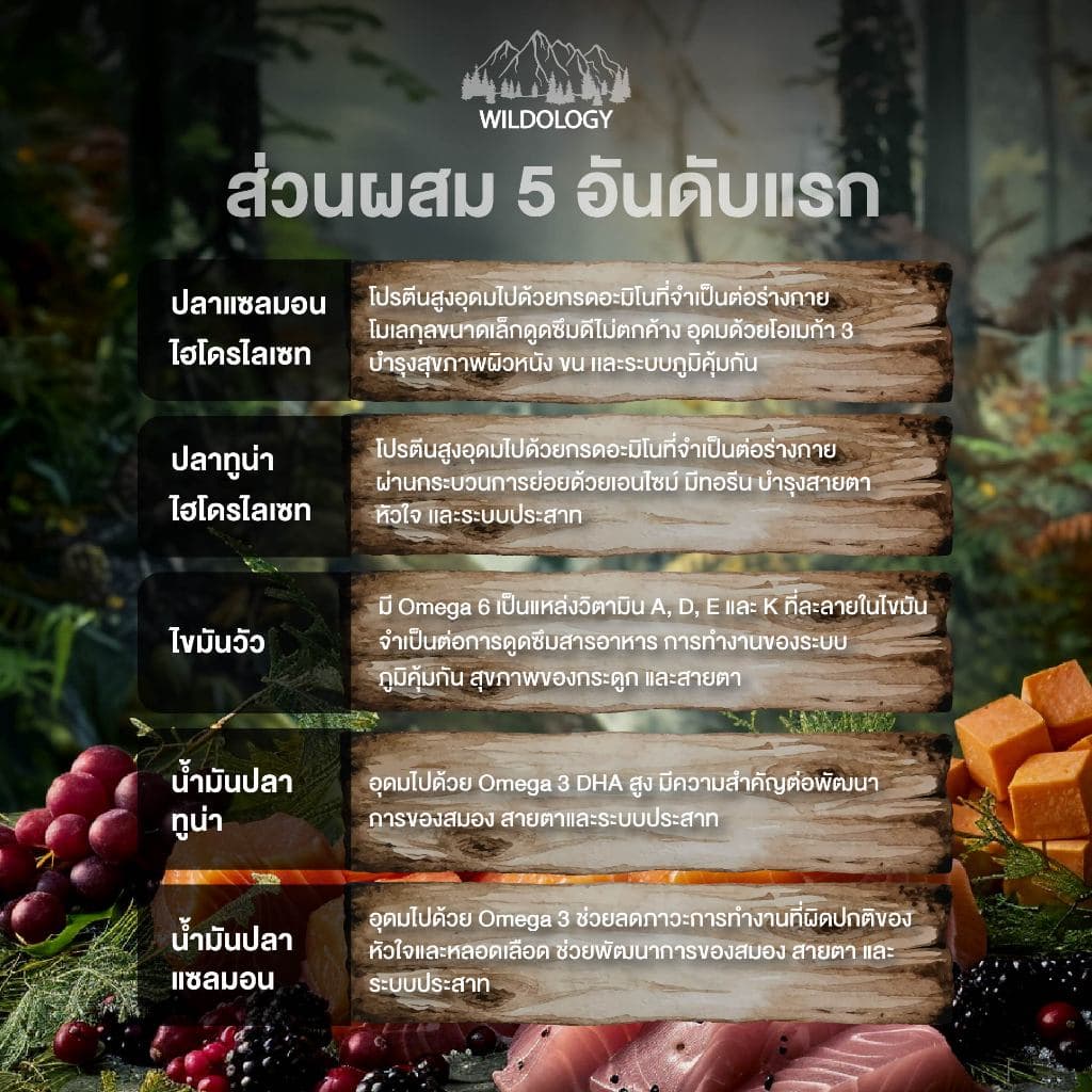 อาหารแมวแบบเม็ด โฮลิสติกเกรนฟรี ไวลด์โอโลจี THE GRAND MASTER สำหรับแมวสูงอายุและแมวโต รูปที่ 5
