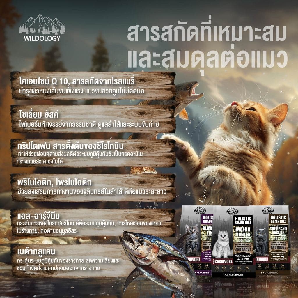 อาหารแมวแบบเม็ด โฮลิสติกเกรนฟรี ไวลด์โอโลจี THE GRAND MASTER สำหรับแมวสูงอายุและแมวโต รูปที่ 7