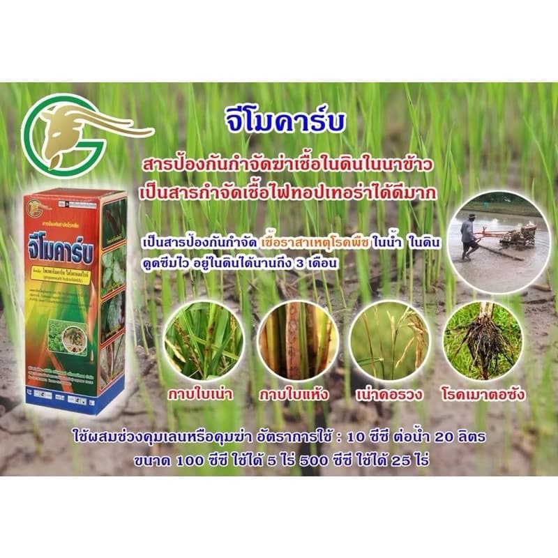 จีโมคาร์บ⭕สารโพรพาโมคาร์บ 72.2%SLขนาด 1 ลิตรเก่งโรครากเน่าโคนเน่า เน่าดำ เน่าเข้าไส้ ไฟทอปธอรา รูปที่ 6