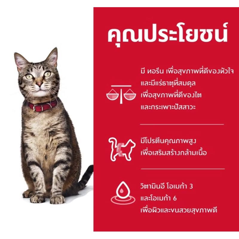 Hill's สองสูตร Cat Science Diet Adult 1-6 ปี และแมวแก่ 7ปีขึ้นไป รูปที่ 2