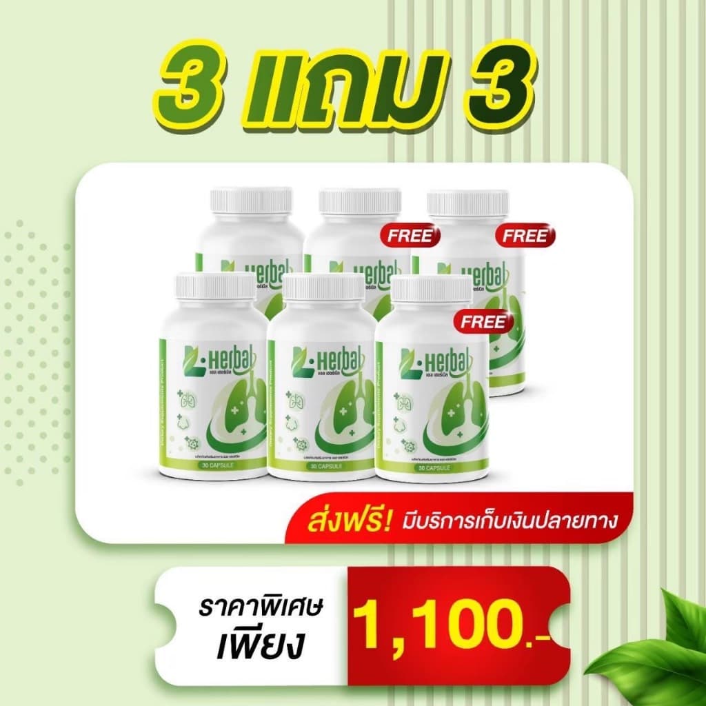 L-Herbal วิตามินบำรุงปอด บำรุงปอด ไอ จาม ไอเรื้อรัง ภูมิแพ้ รูปที่ 9